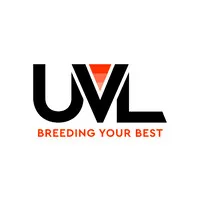 UVL