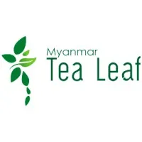 Myanmar Tea Leaf Myanmar Tea Leaf