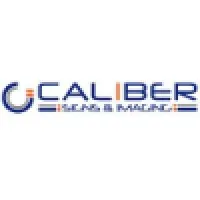 CALIBER SIGNS & IMAGING INC