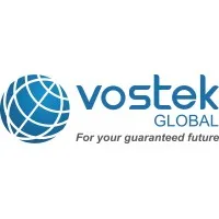 Vostek Global