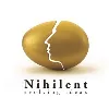Nihilent Technologies Inc Nihilent Technologies Inc