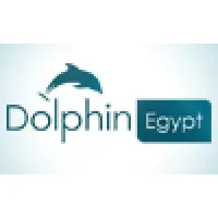 Dolphin Egypt