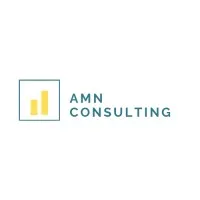 AMN Consulting LLC