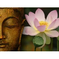 freethefeminine.com