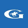 Guardian Glass Asia Pacific Guardian Glass Asia Pacific