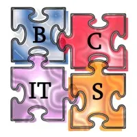 BCITS (Business Consulting & IT Solutions Ltd)