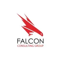 Falcon Consulting Group Falcon Consulting Group