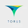 Torus Innovations Torus Innovations