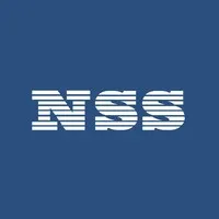New System Service (NSS)
