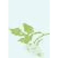 Rivertree Systems Inc Rivertree Systems Inc