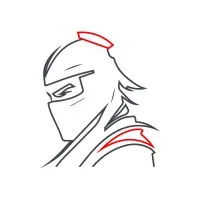 Ninja Asset Protection