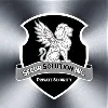 SecurSolution, Inc. SecurSolution, Inc.