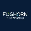 Foghorn Therapeutics Inc. Foghorn Therapeutics Inc.