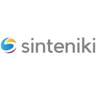 Sinteniki SEO Consultant