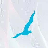 Seagull Advertising
