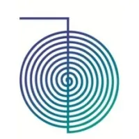 Icon Technology Projects & Services LLC