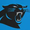 Carolina Panthers Carolina Panthers
