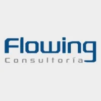 Flowing Consultoría
