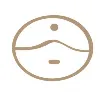 Finding You Therapy Programs Finding You Therapy Programs