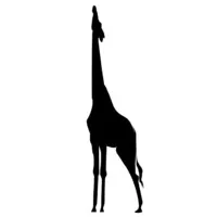 Giraffe Consulting