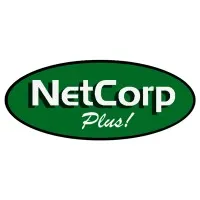 Network Plus Merchandising and Promo Services, Corp.