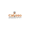 Calisto Technocast Pvt. Ltd.