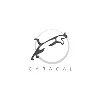 Caracal Oil & Gas Support Group Caracal Oil & Gas Support Group