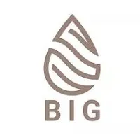 Borroka Investment Group