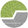 Shvas Design Studio Shvas Design Studio