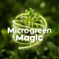 Microgreen Magic