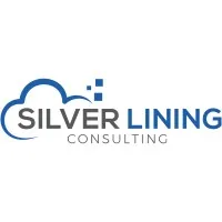 Silver Lining Consulting