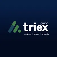 Grupo Triex