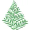 Evergreen School Evergreen School