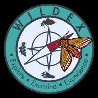 WILDEX