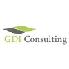GDI Consulting GDI Consulting