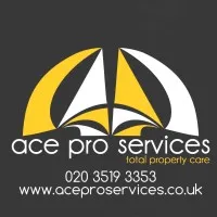 Ace Pro Services