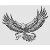 Progressive Plastic Consultants, LLC Progressive Plastic Consultants, LLC