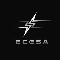 Electronics and Computer Engineering Students Association