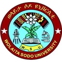 wolaita sodo university email format