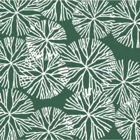 Osborn Pacific Group Inc.