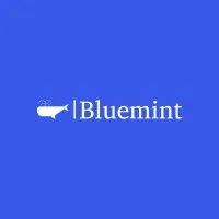 Bluemint Services Bluemint Services