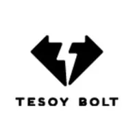 Tesoy Bolt India Pvt Ltd