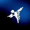 The Birdling The Birdling