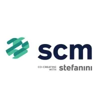 Stefanini Capital Market Stefanini Capital Market