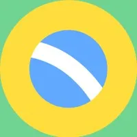 The Brazilian Report