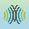 Chrysalis Global Chrysalis Global