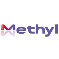 Methyl Group