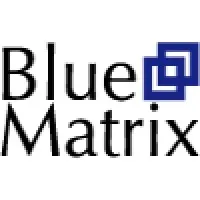Blue Matrix - Chartered Certified Accountants Blue Matrix - Chartered Certified Accountants