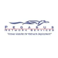 Pegasus Network Services, Inc.