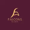 Falcons Group Falcons Group